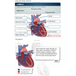 sl_heart_animation.png